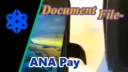 ANA Payの考察！ANAマイルがお得に貯まるコード決済