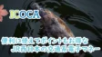 ICOCAの考察！便利に使えてポイント還元もお得なJR西日本の交通系電子マネー