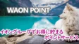 WAON POINTの考察！イオングループでお得に貯まるポイントサービス